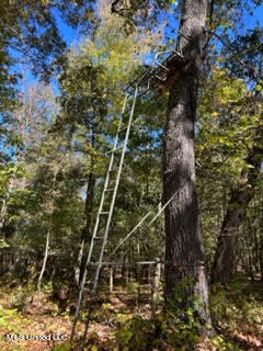 974 Tyro Road Holly Springs, MS 38635 - Photo 50 of 52 unnamed (53)