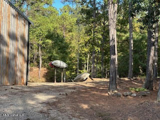 974 Tyro Road Holly Springs, MS 38635 - Photo 5 of 52 unnamed (1)