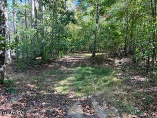 974 Tyro Road Holly Springs, MS 38635 - Photo 51 of 52 unnamed (54)