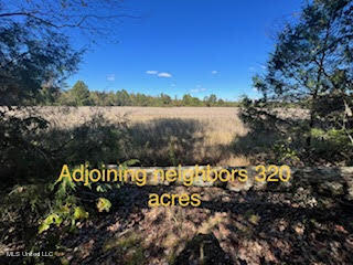 974 Tyro Road Holly Springs, MS 38635 - Photo 52 of 52 unnamed (55)