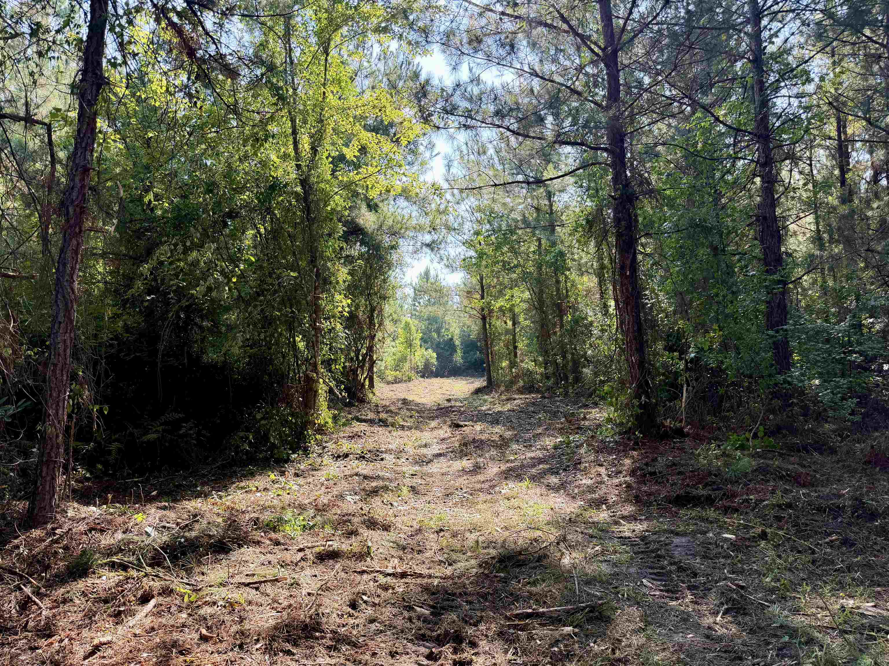 101.49-acres - Epps Road New Zion, SC 29111 - Photo 1 of 24