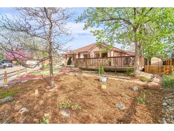 a large house with a large tree in front of it