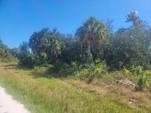 $35,000 | Undisclosed Address, Port Charlotte, FL 33953
