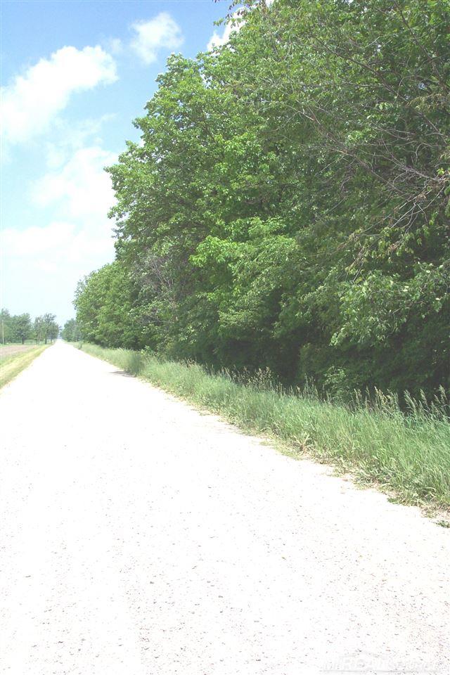 0 Kilgore Croswell, MI 48422 - Photo 9 of 9