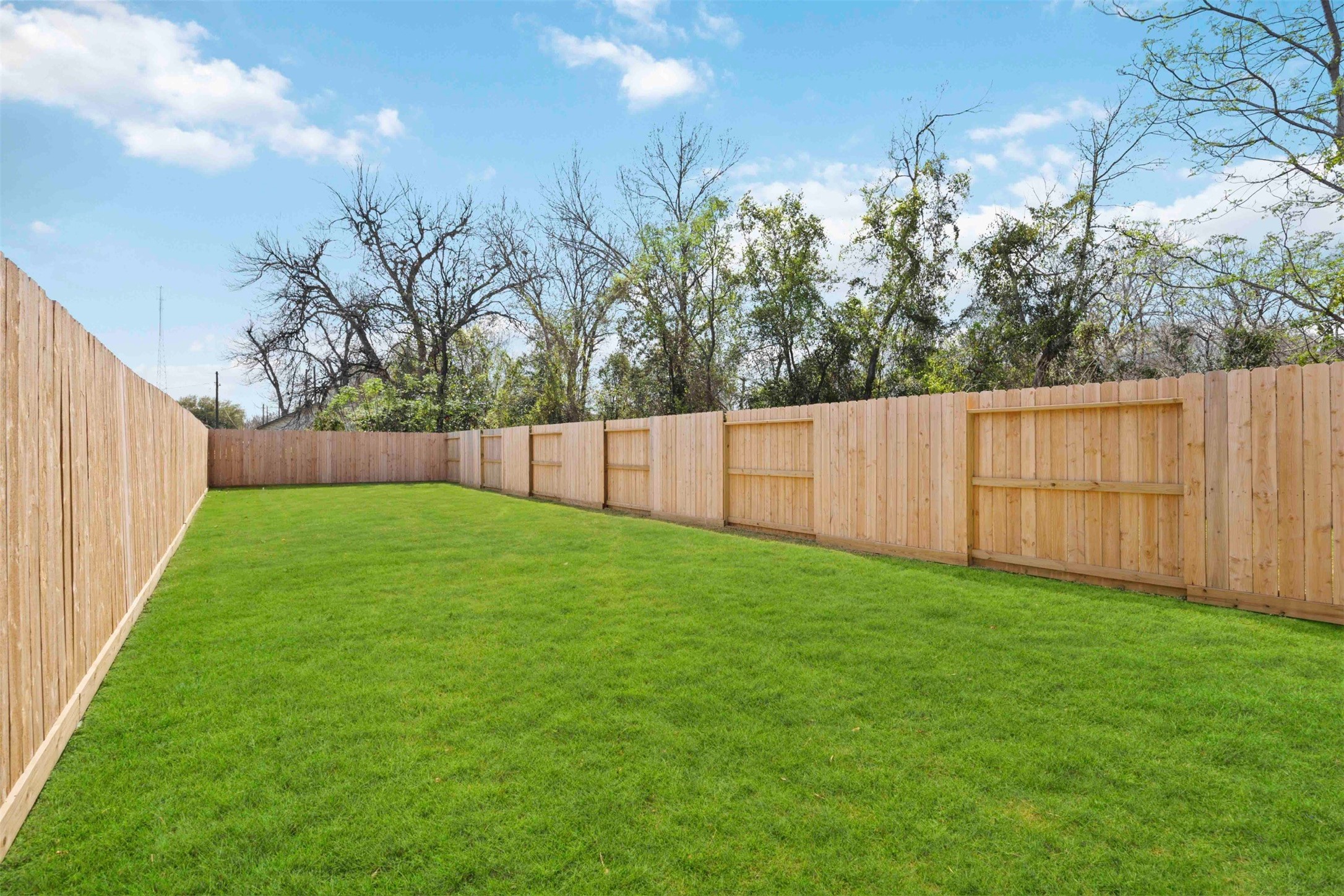3504 Caplin Street, Unit B Houston, TX 77026 - Photo 3 of 26 a view of yard with trees in the background