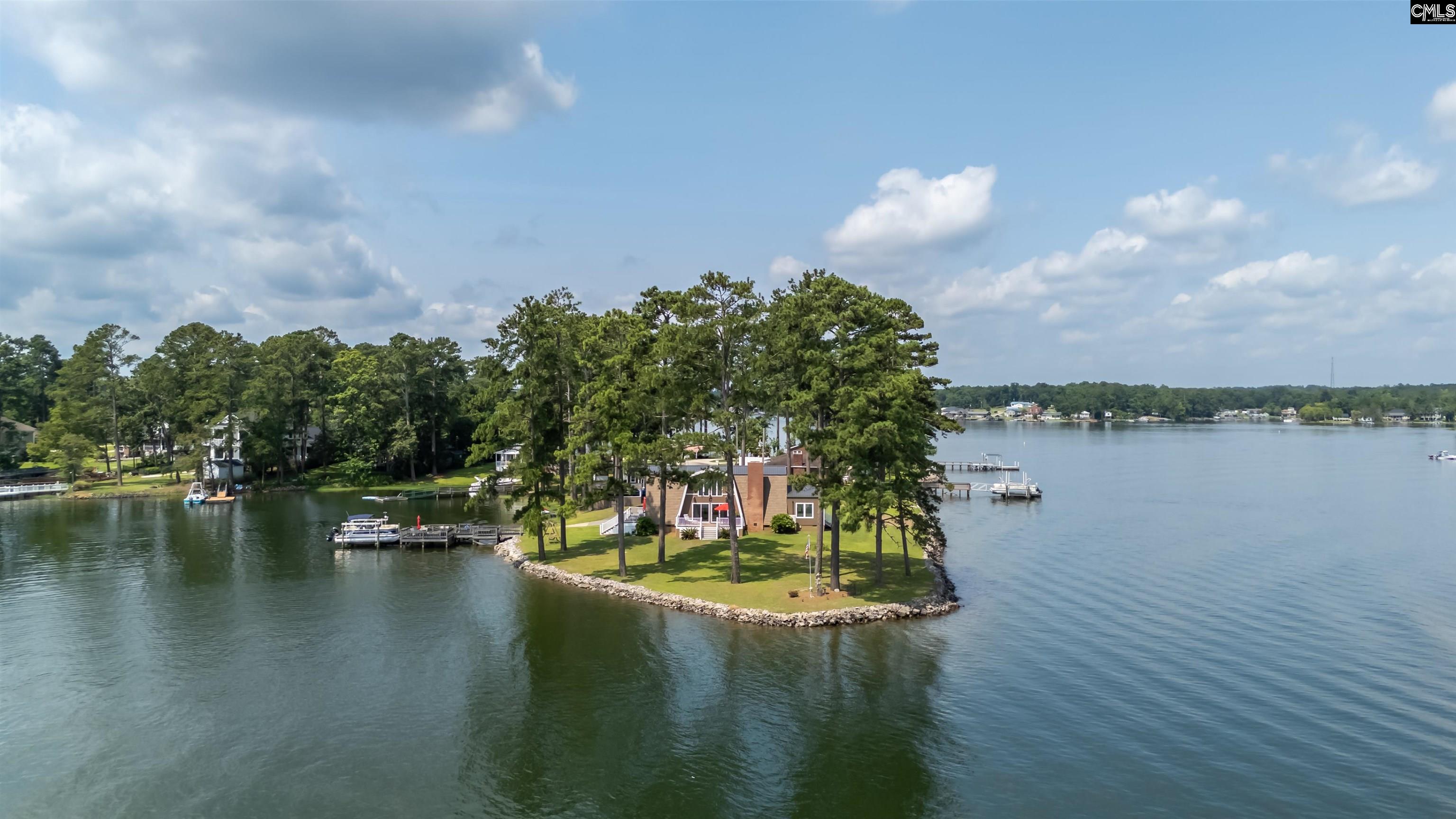 675 East Point Drive Gilbert, SC 29054 - Photo 4 of 76