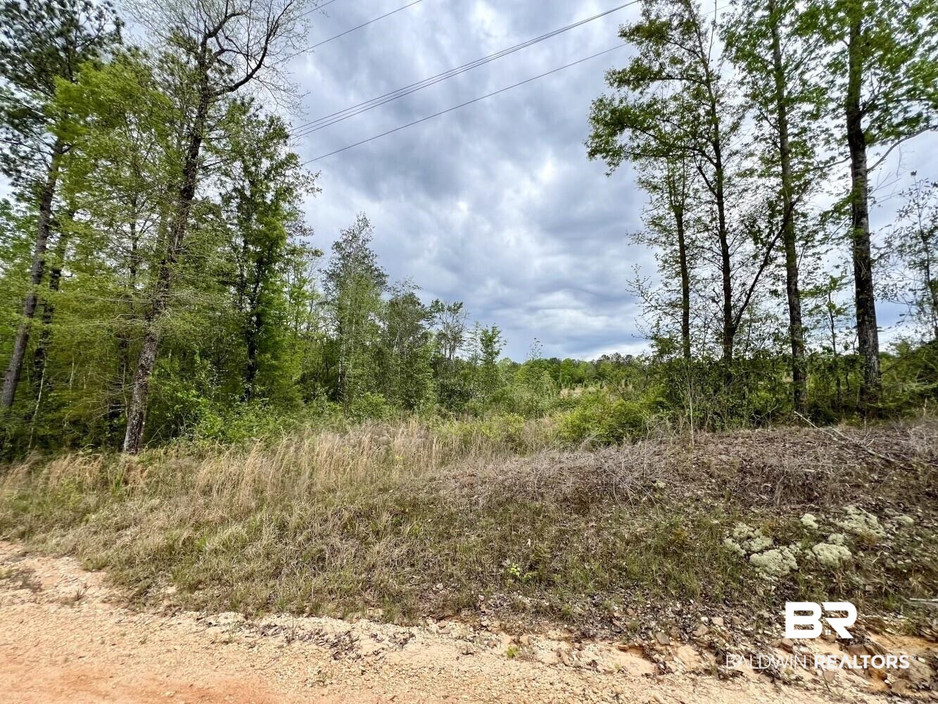 0 Pine Street St. Stephens, AL 36569 - Photo 1 of 26