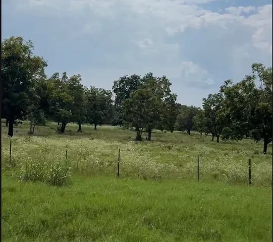 a view of outdoor space with green field and trees all around