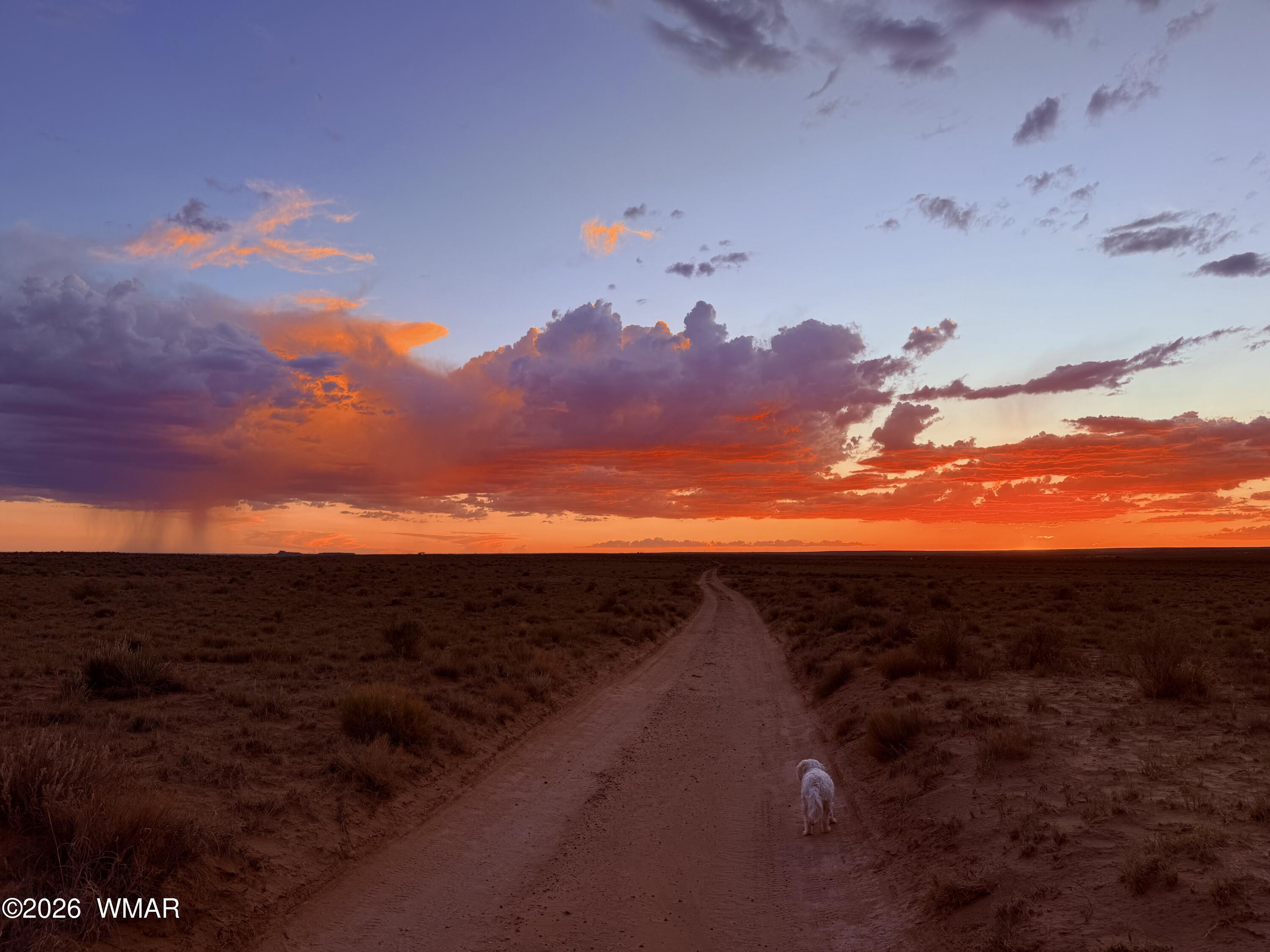 9972 Cattleman Road Holbrook, AZ 86025 - Photo 3 of 38 Sunsets and Sunrise Beauty
