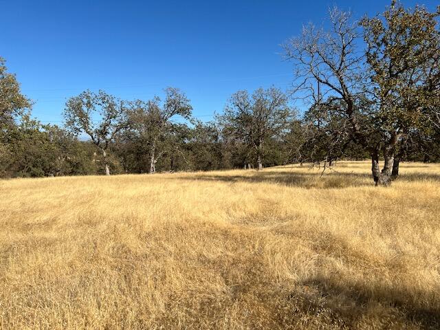 Lot 4 Rhonda Road Anderson, CA 96007 - Photo 18 of 33 a view of yard with swimming pool and trees