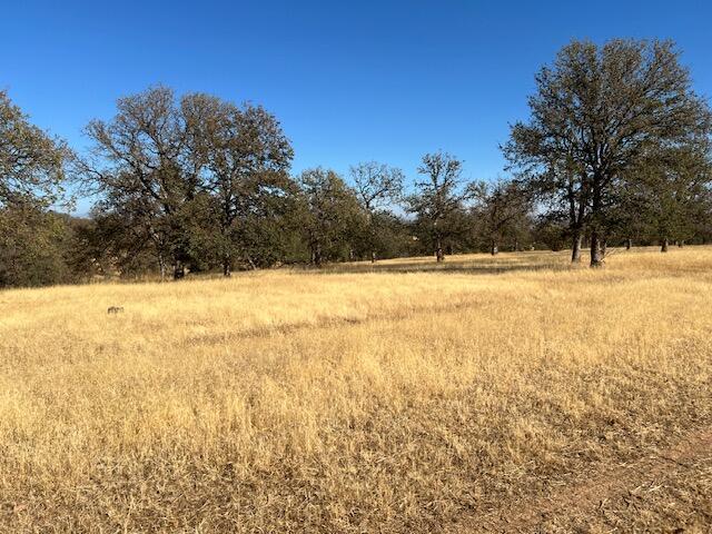 Lot 4 Rhonda Road Anderson, CA 96007 - Photo 26 of 33 a view of yard with trees