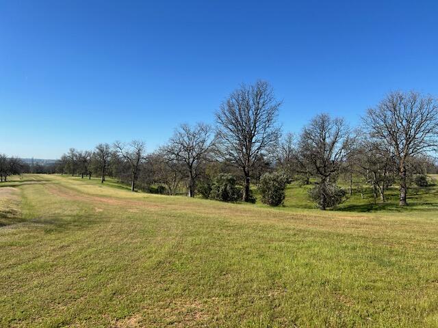 Lot 4 Rhonda Road Anderson, CA 96007 - Photo 10 of 33 a view of a field with trees in the background
