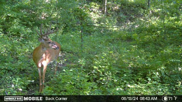 W4824 Puent Road La Crosse, WI 54601 - Photo 16 of 18