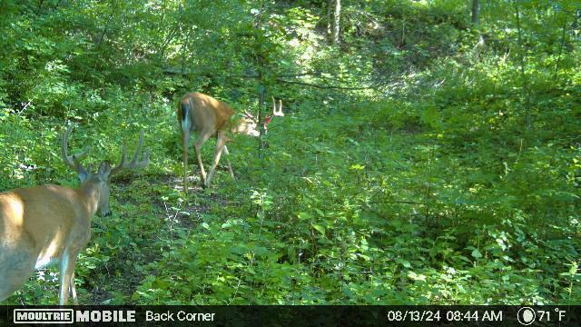 W4824 Puent Road La Crosse, WI 54601 - Photo 17 of 18