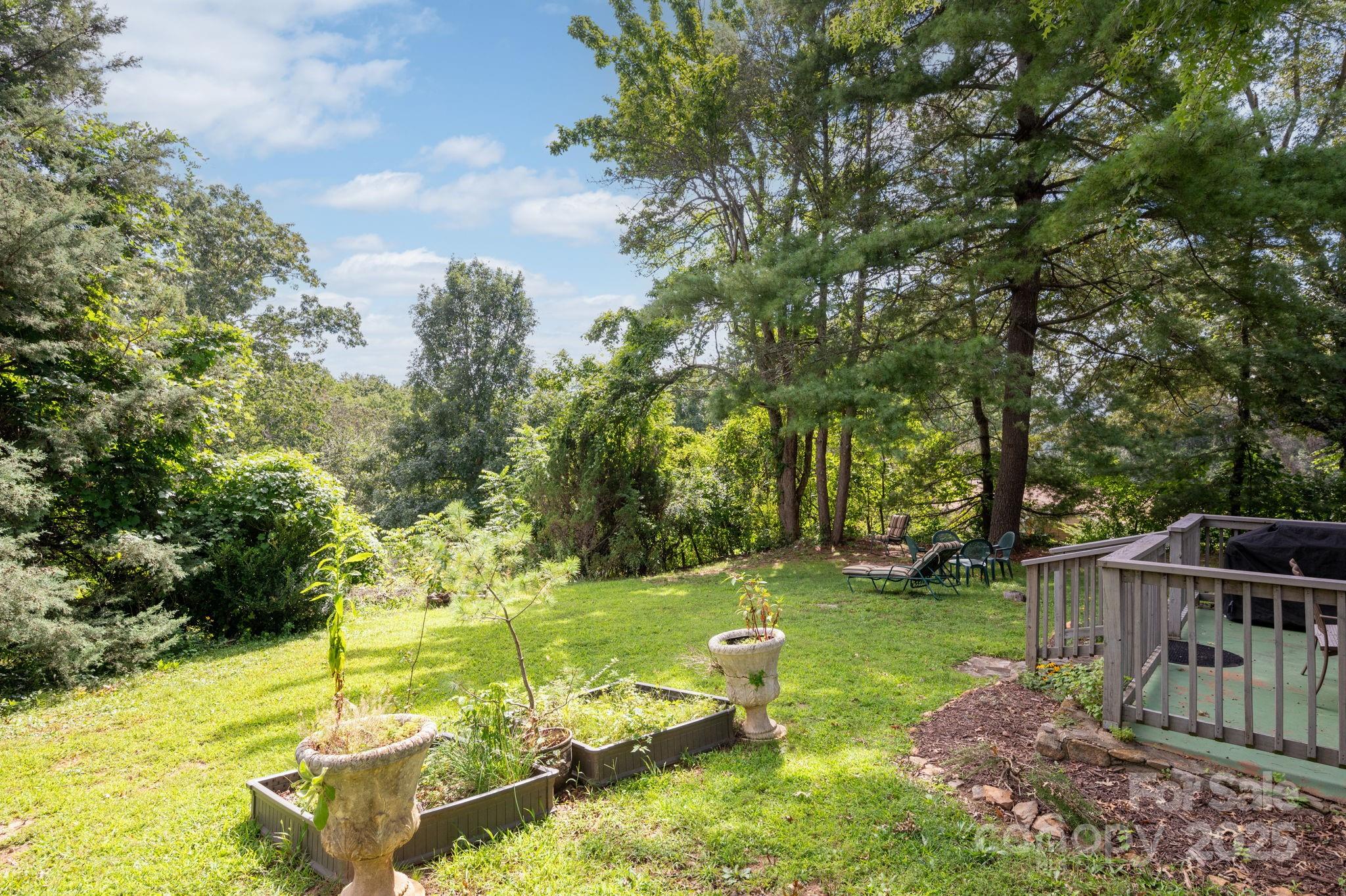 115 Oakland Road Asheville, NC 28801 - Photo 27 of 32 a view of backyard with slide