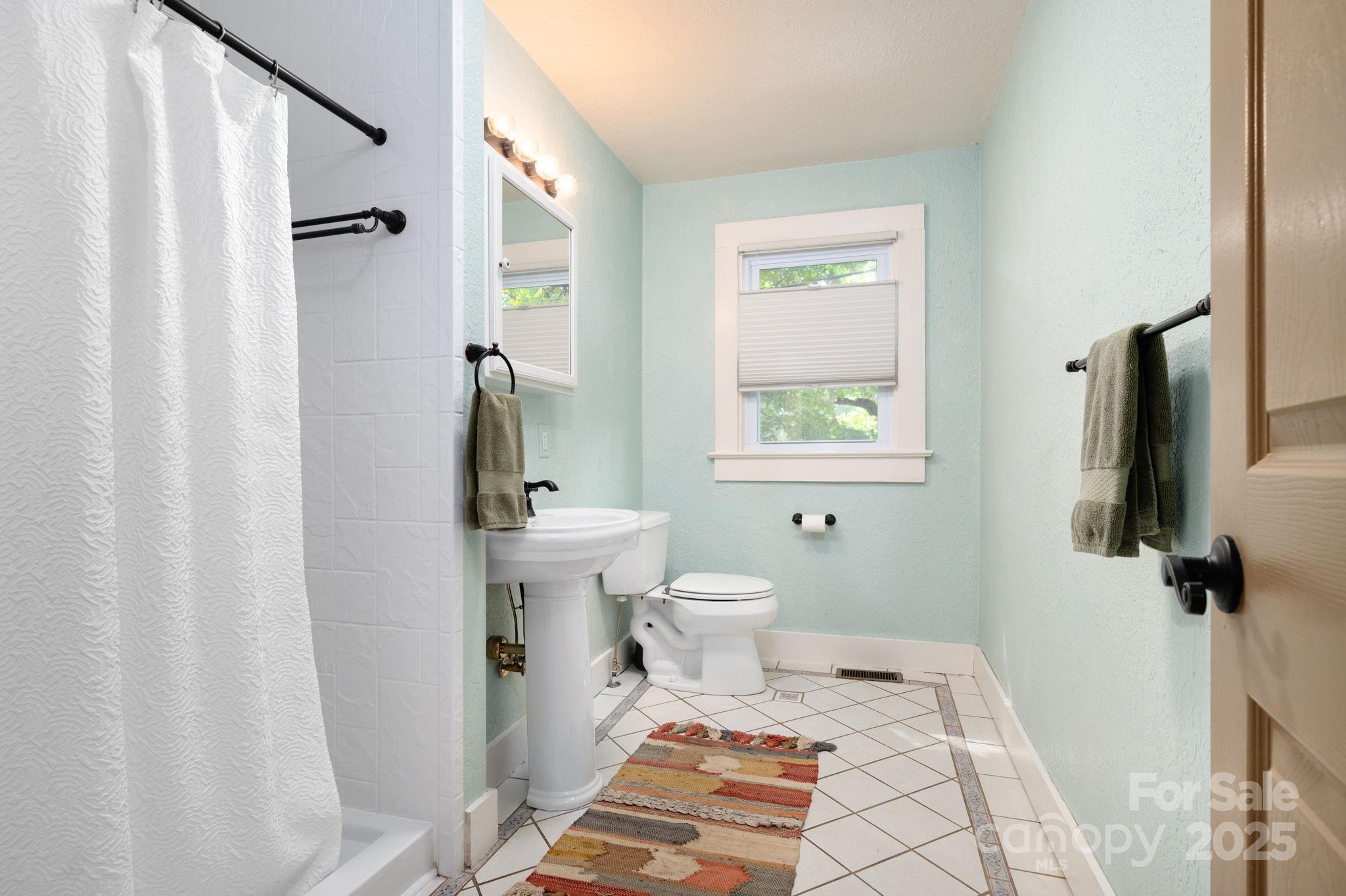 115 Oakland Road Asheville, NC 28801 - Photo 10 of 32 a bathroom with a sink toilet and shower