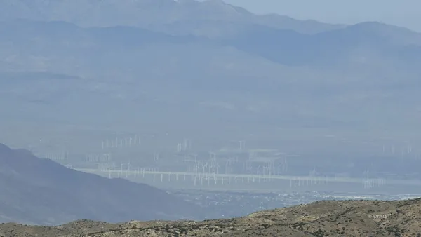 an aerial view of houses covered in trees