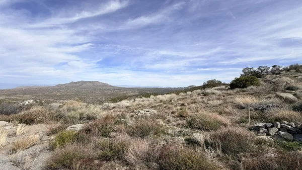 an aerial view of houses covered in trees