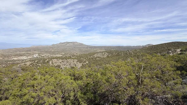 a view of a forest with mountains in the background