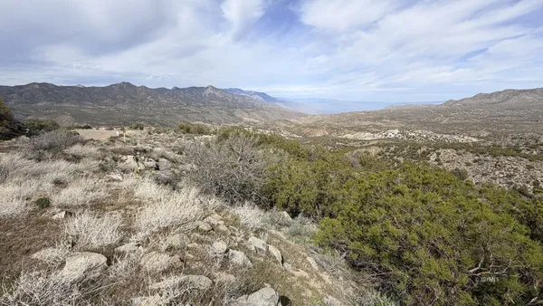 a view of a forest with mountains in the background
