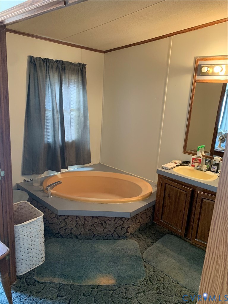 15532 Sandy Field Road Stony Creek, VA 23882 - Photo 16 of 20 a bathroom with a sink and a mirror