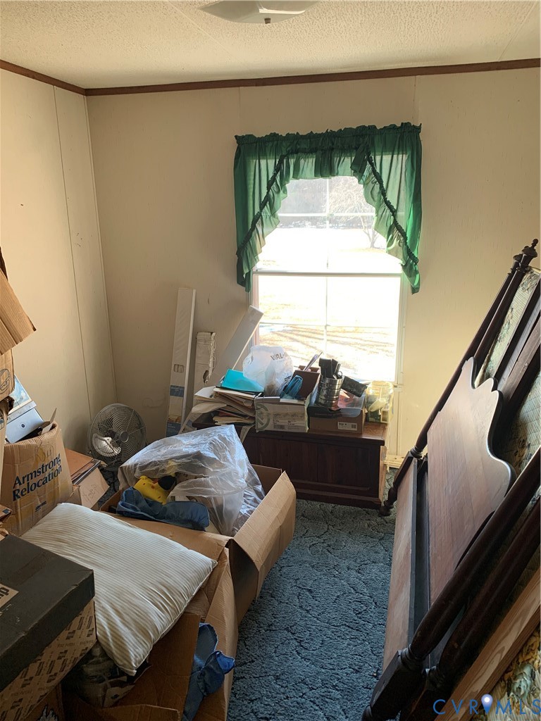 15532 Sandy Field Road Stony Creek, VA 23882 - Photo 18 of 20 a living room with furniture and a window