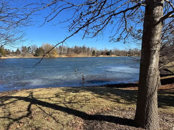 a view of a backyard of a house