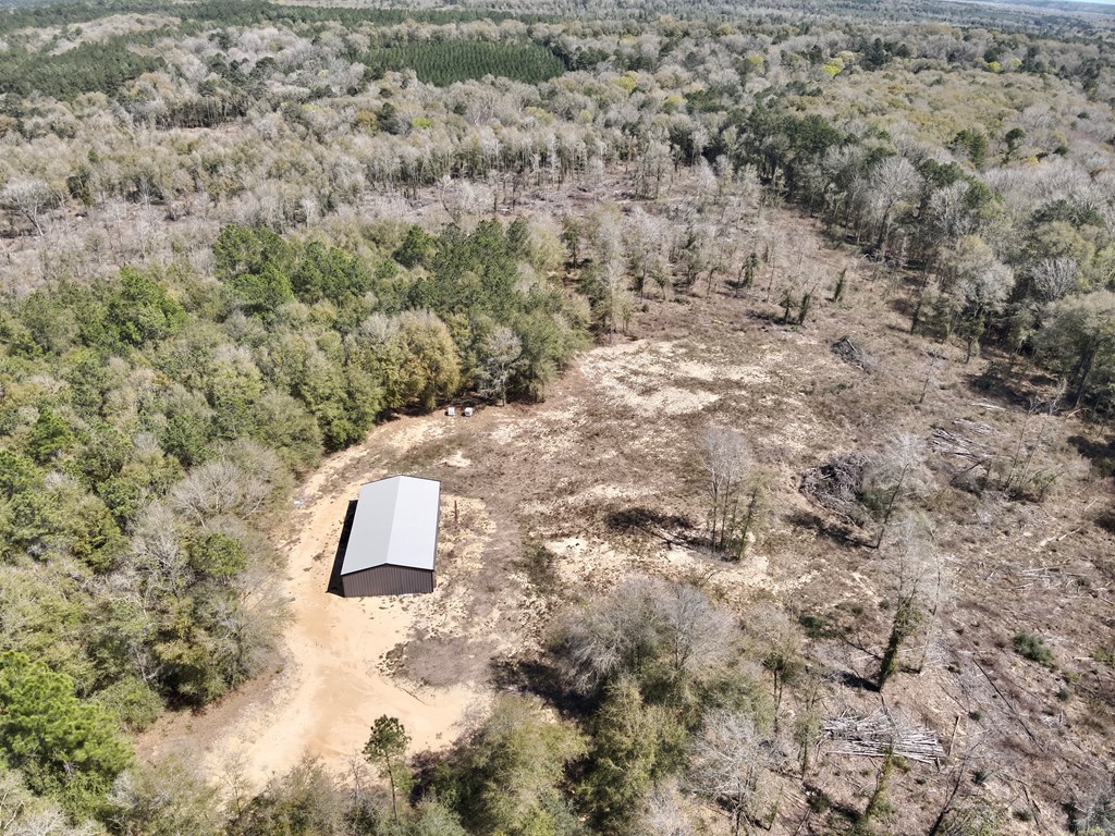2326 Campbell Hill Road Chancellor, AL 36316 - Photo 7 of 33