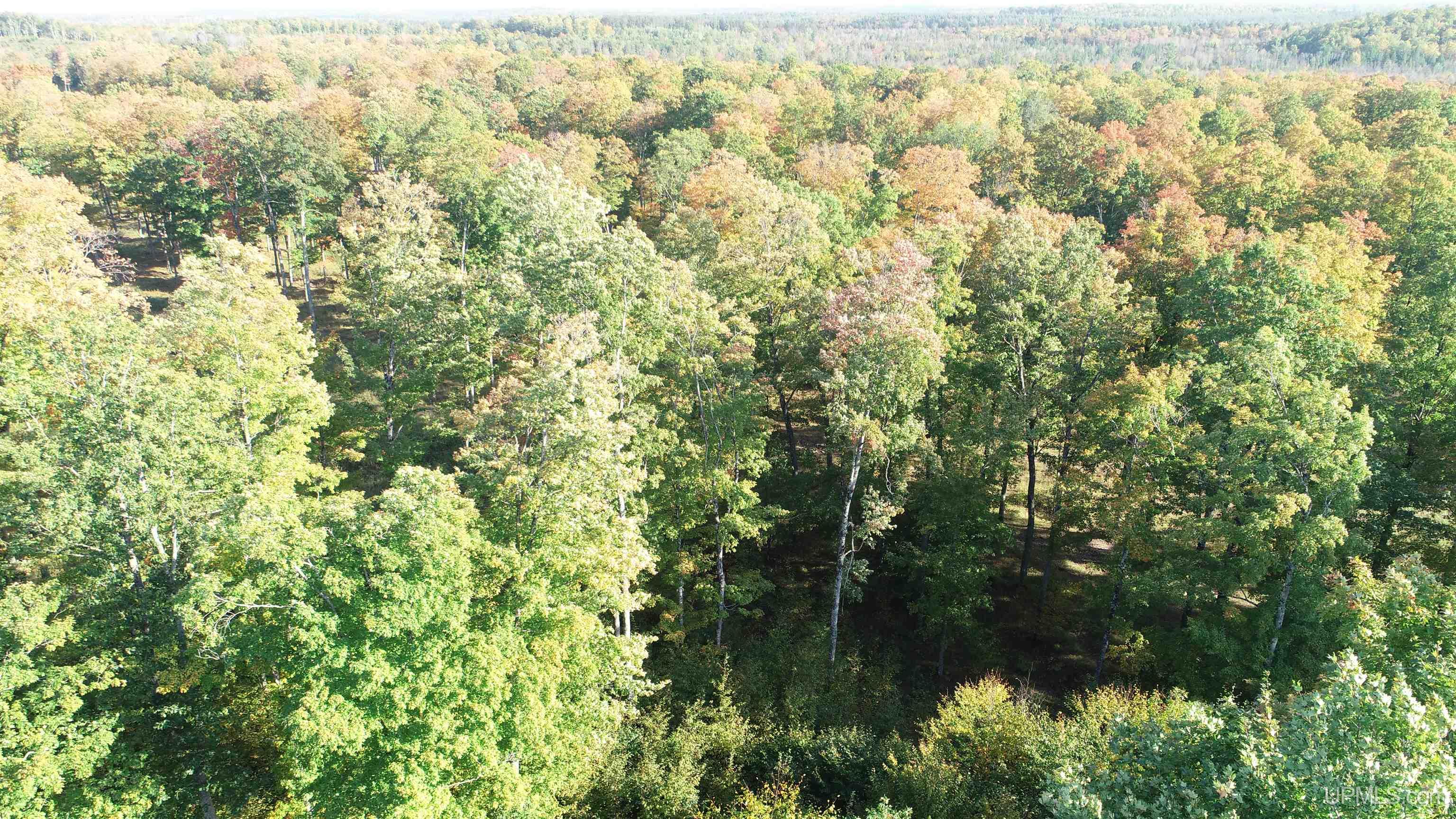 18856 Vega Road Hermansville, MI 49847 - Photo 15 of 23