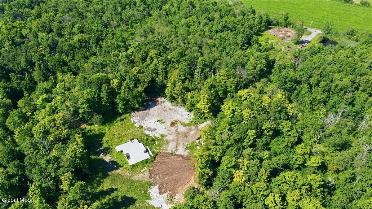 585 North Knight Road Delanson, NY 12053 - Photo 3 of 9 585 N Knight Rd