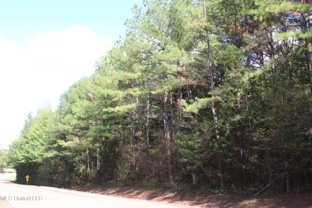 $87,500 | 5 Old Byhalia Road, Byhalia, MS 38611