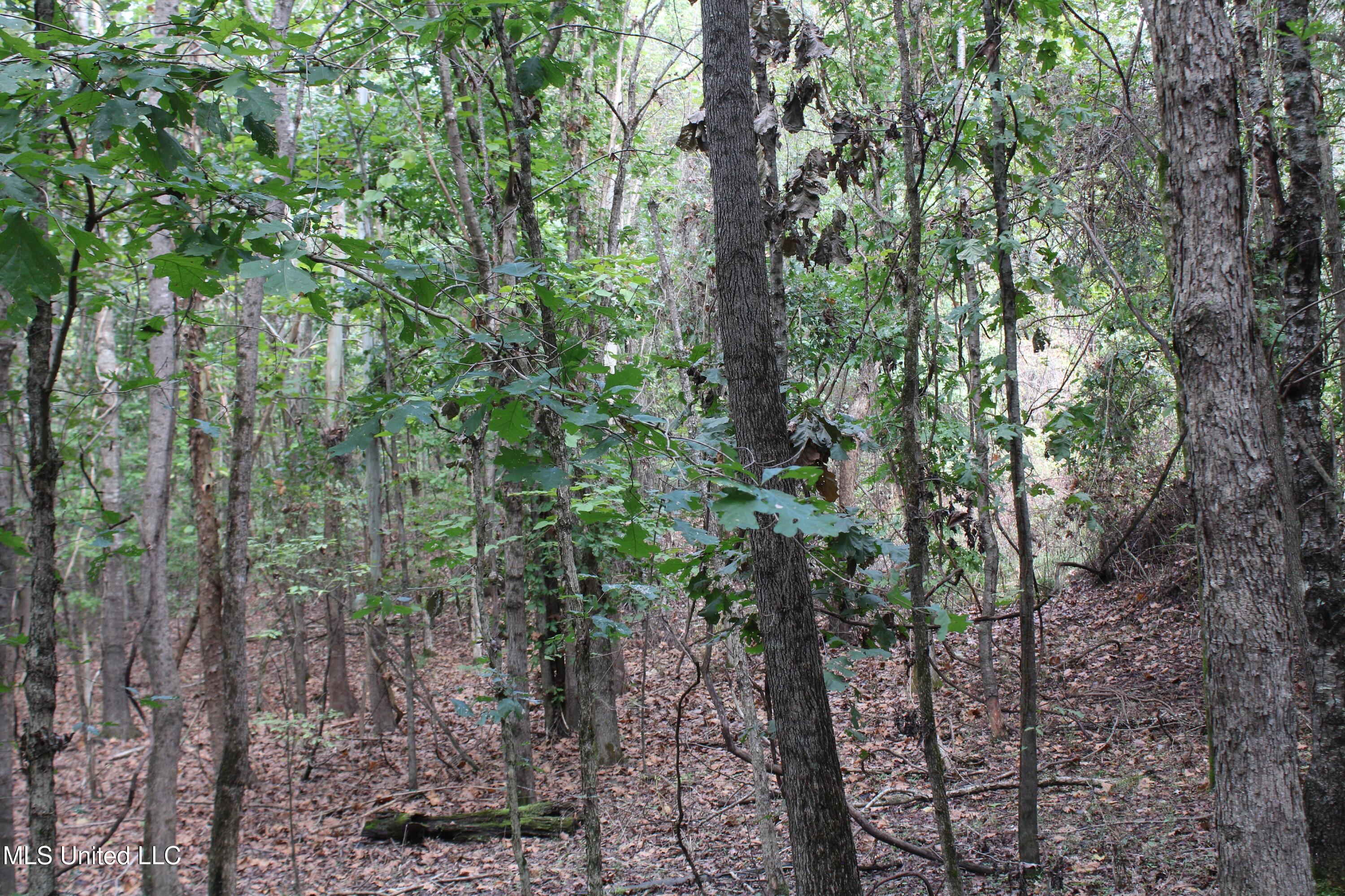 5 Old Byhalia Road Byhalia, MS 38611 - Photo 12 of 15 IMG_6803