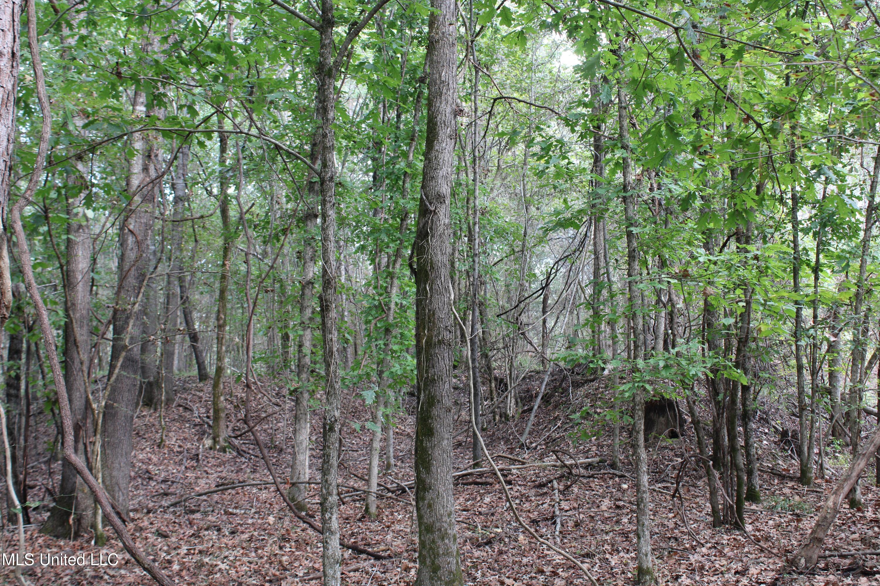 5 Old Byhalia Road Byhalia, MS 38611 - Photo 13 of 15 IMG_6804