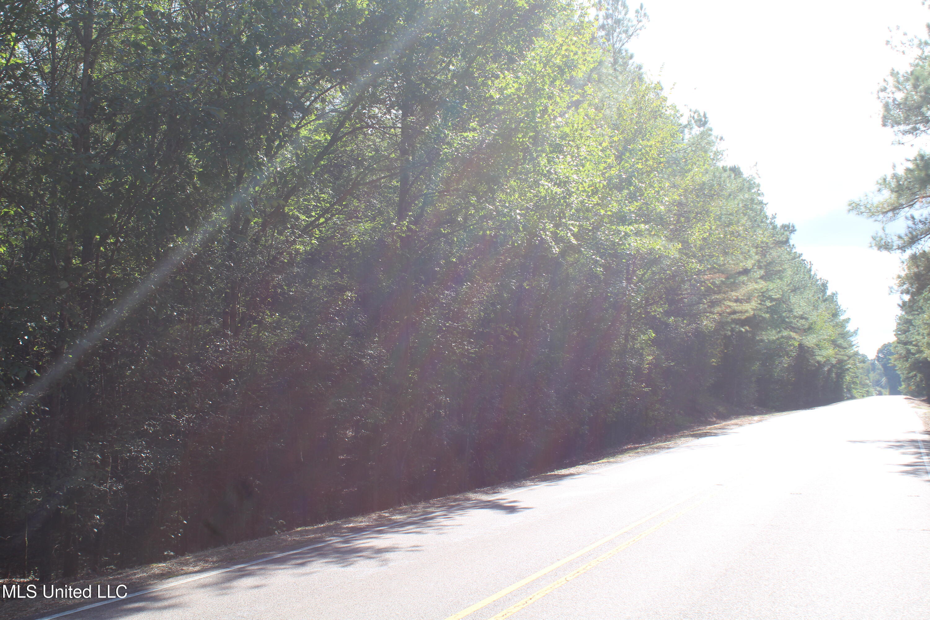 5 Old Byhalia Road Byhalia, MS 38611 - Photo 2 of 15 IMG_6793