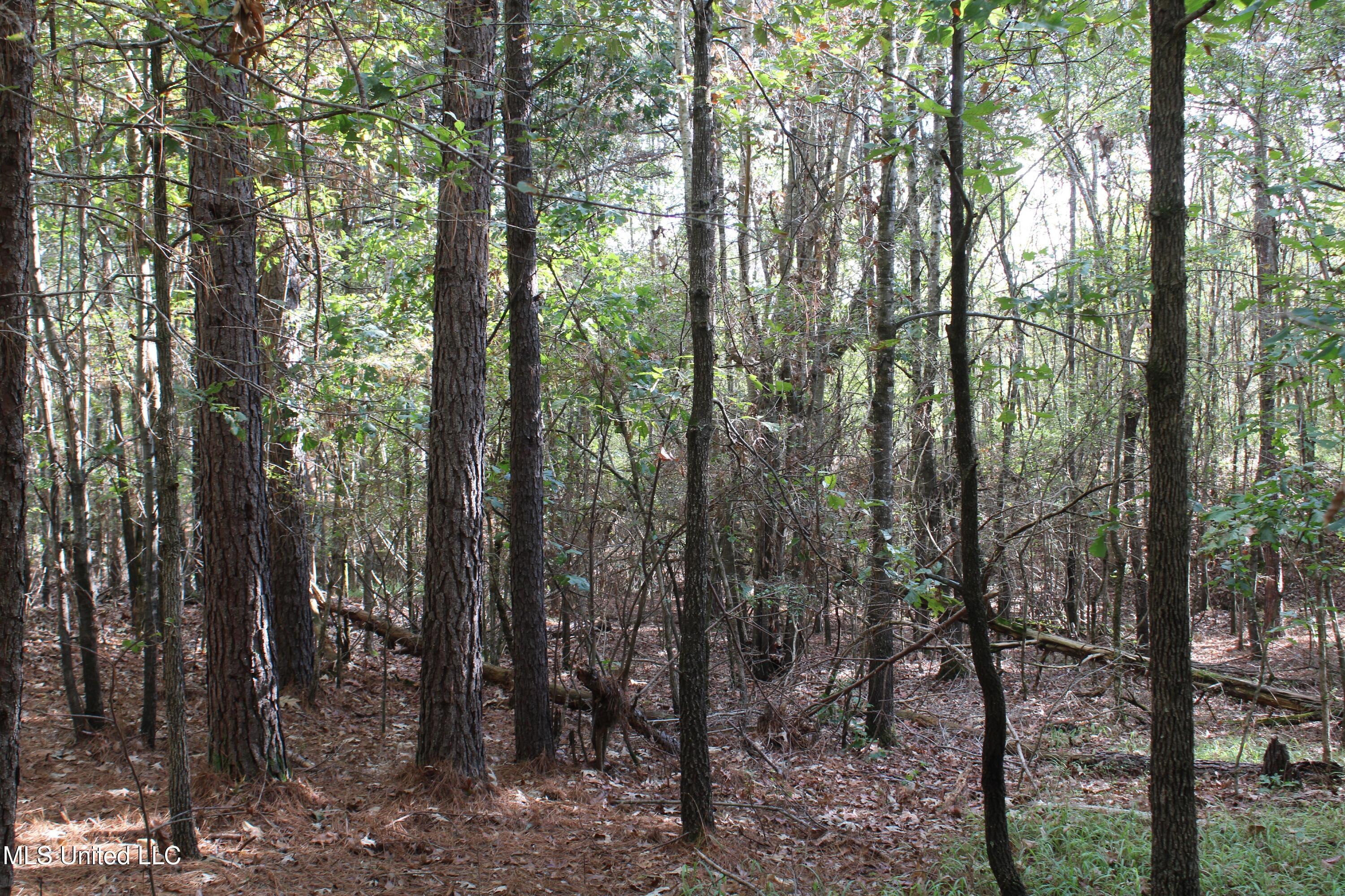 5 Old Byhalia Road Byhalia, MS 38611 - Photo 5 of 15 IMG_6796