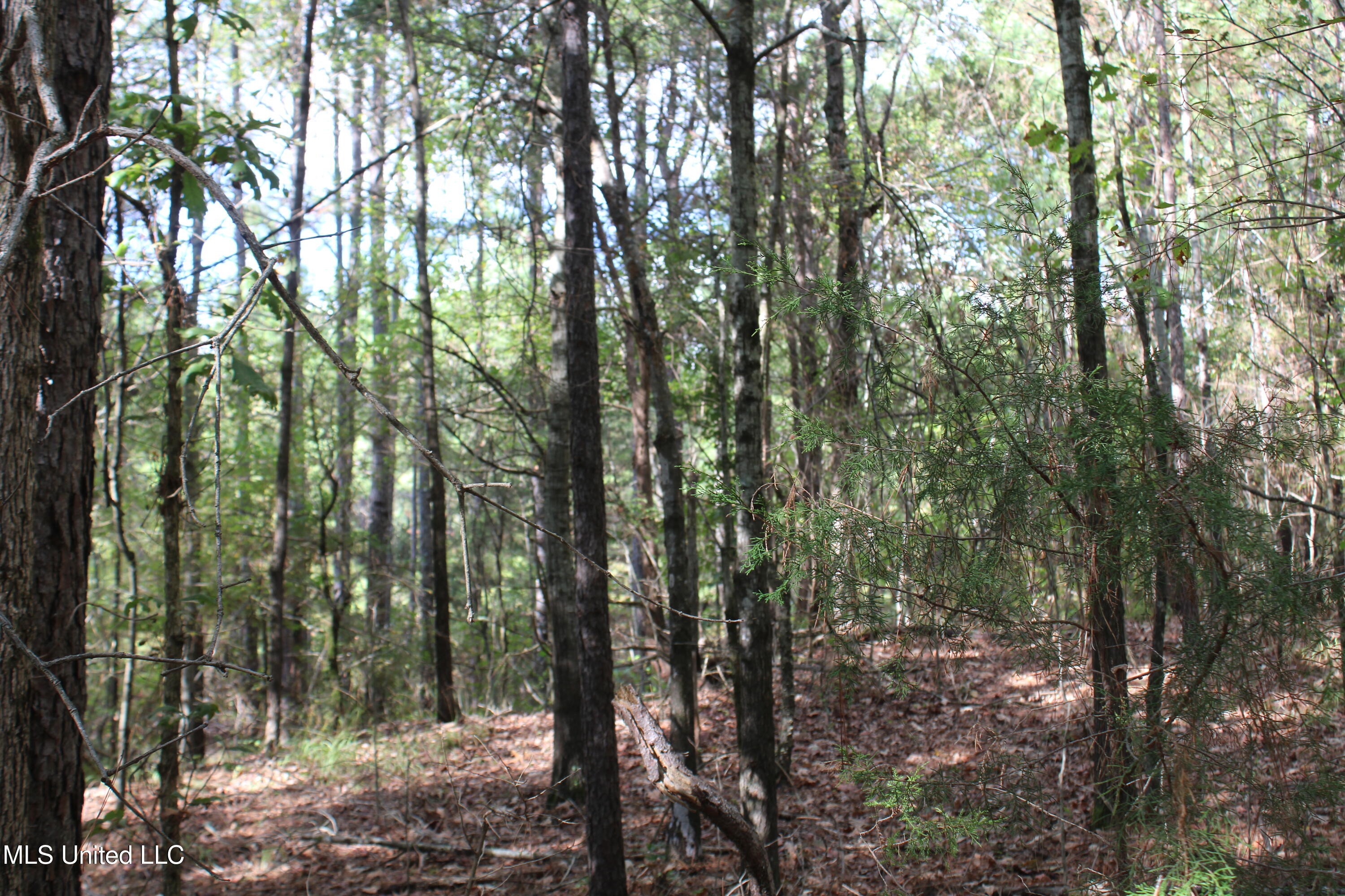 5 Old Byhalia Road Byhalia, MS 38611 - Photo 6 of 15 IMG_6797