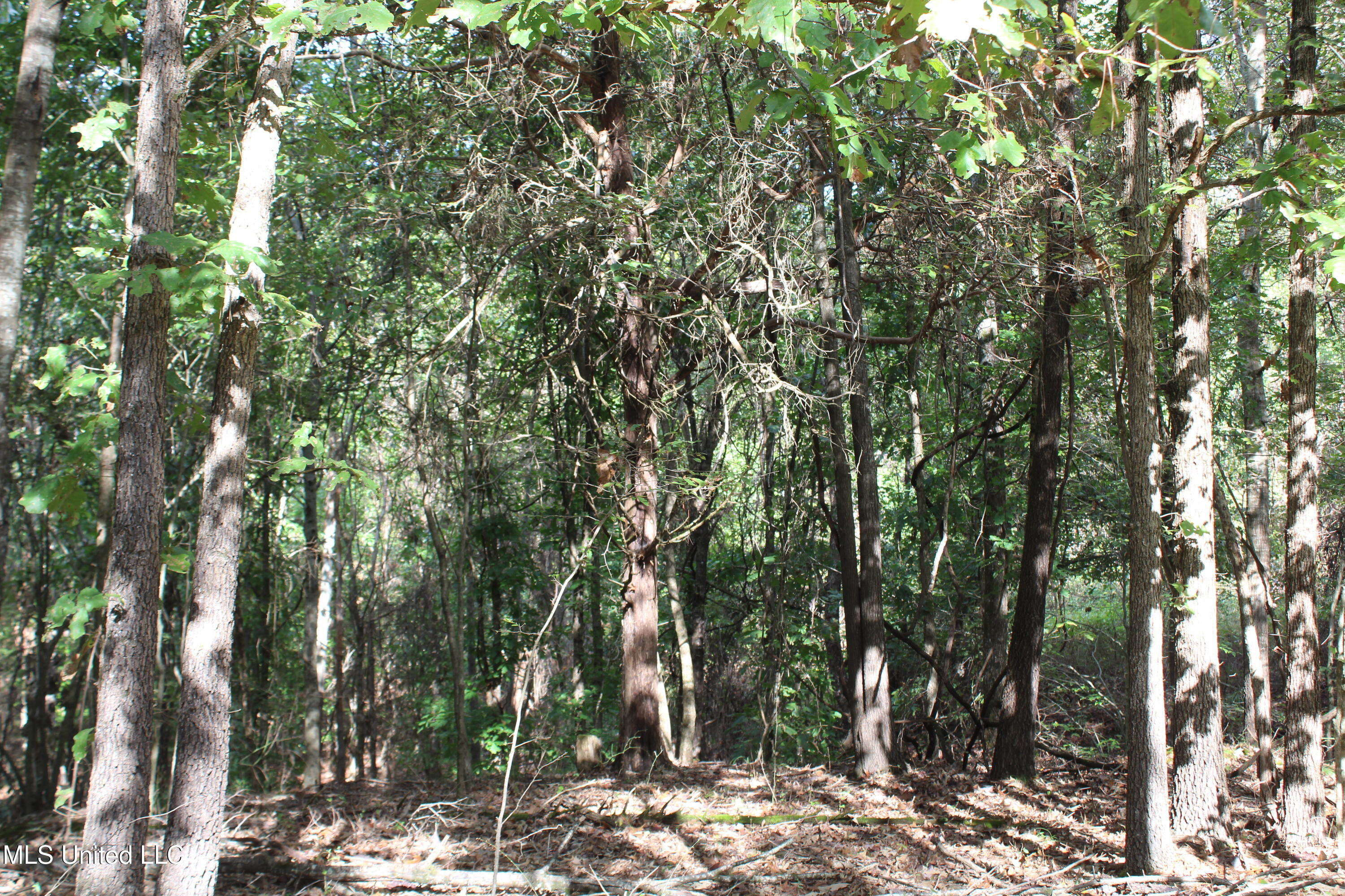 5 Old Byhalia Road Byhalia, MS 38611 - Photo 8 of 15 IMG_6799