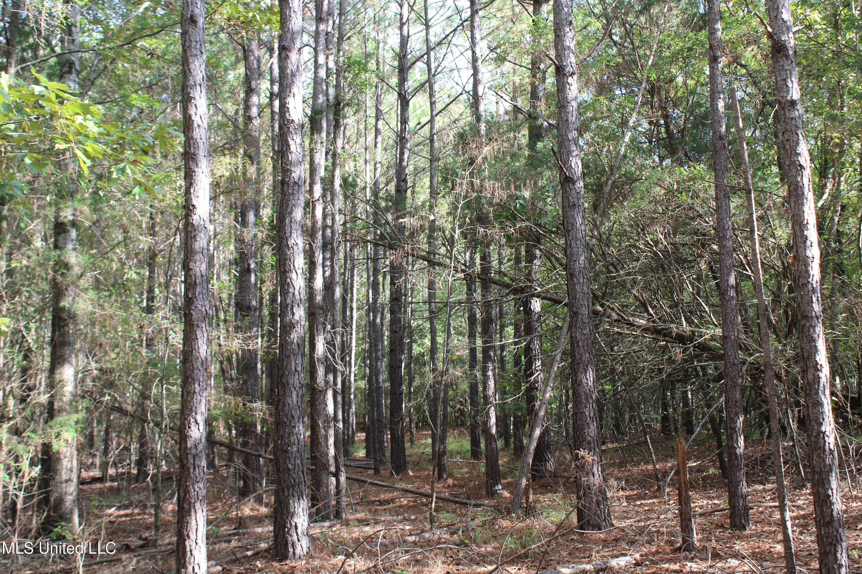 5 Old Byhalia Road Byhalia, MS 38611 - Photo 9 of 15 IMG_6800