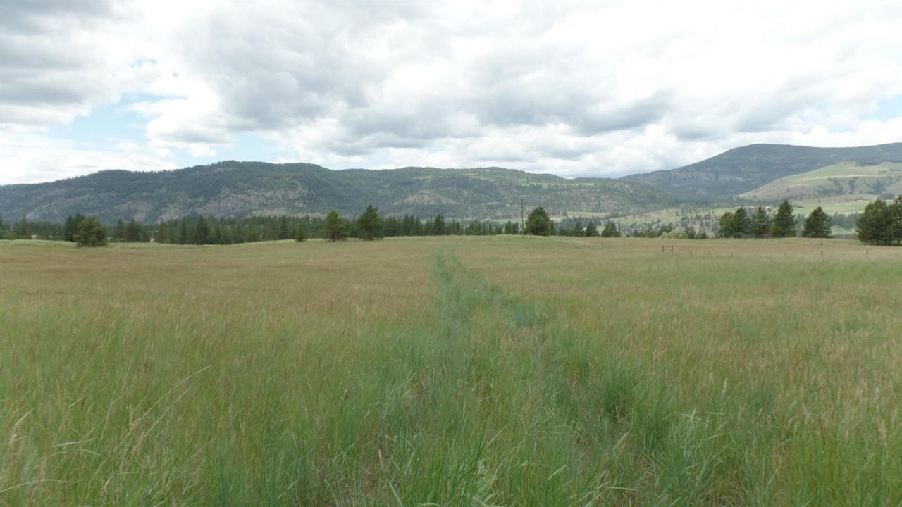 2165 D Mollenberg Road Kettle Falls, WA 99141 - Photo 3 of 18