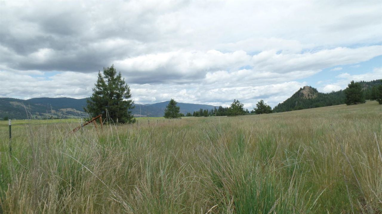 2165 D Mollenberg Road Kettle Falls, WA 99141 - Photo 8 of 18