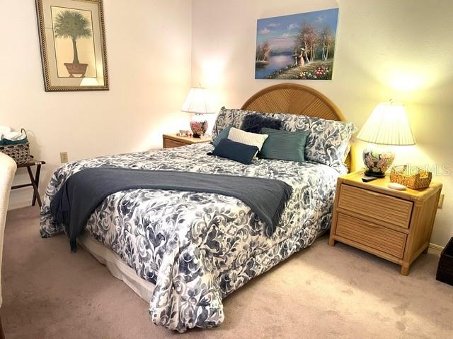 6713 Stone River Road, Unit 203 Bradenton, FL 34203 - Photo 18 of 59