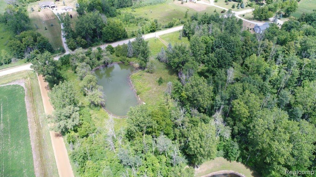 2260 Castle Road North Branch, MI 48461 - Photo 1 of 10 DJI_0007.jpg