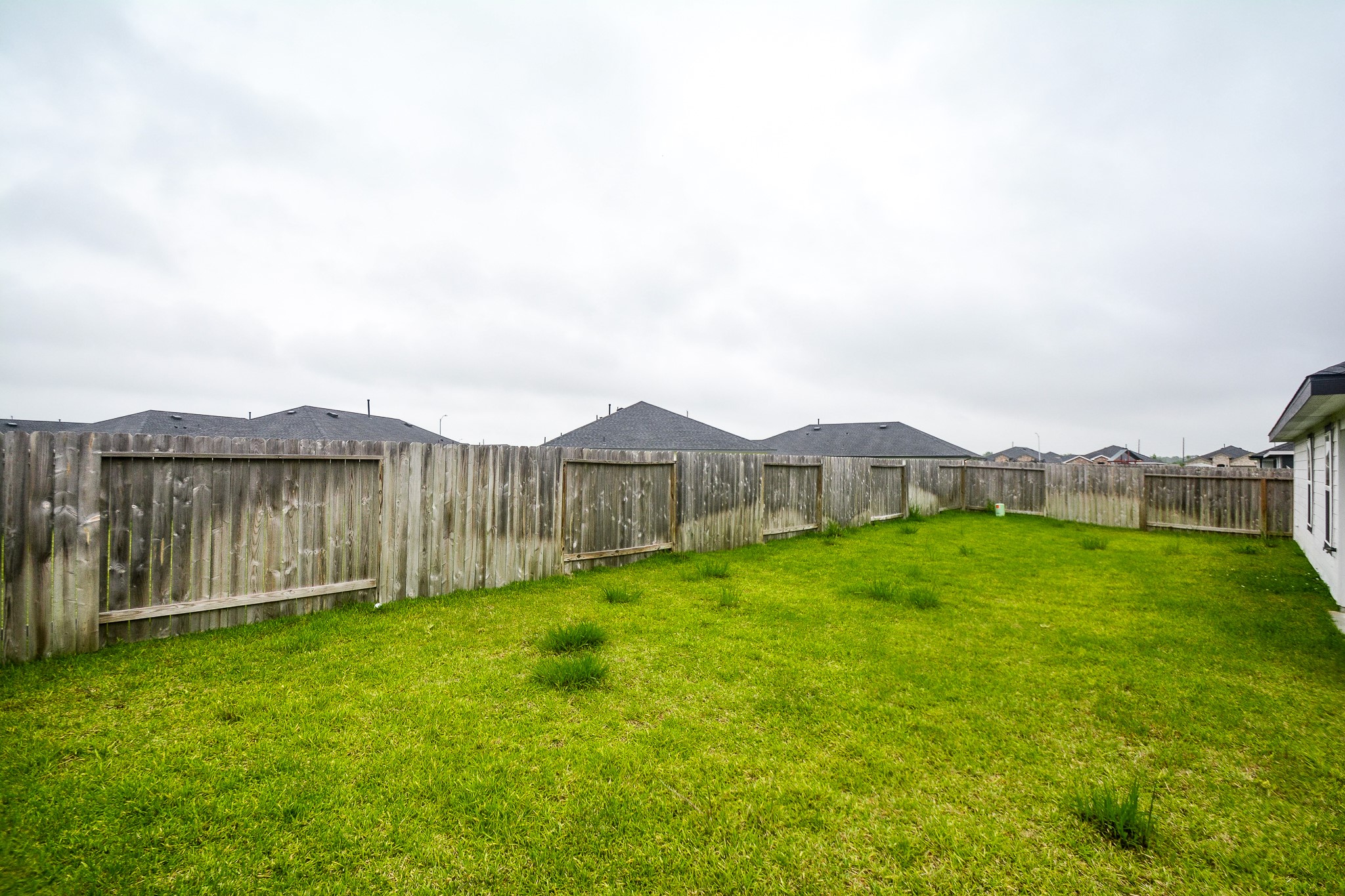 1111 Desert Willow Drive Rosharon, TX 77583 - Photo 20 of 20