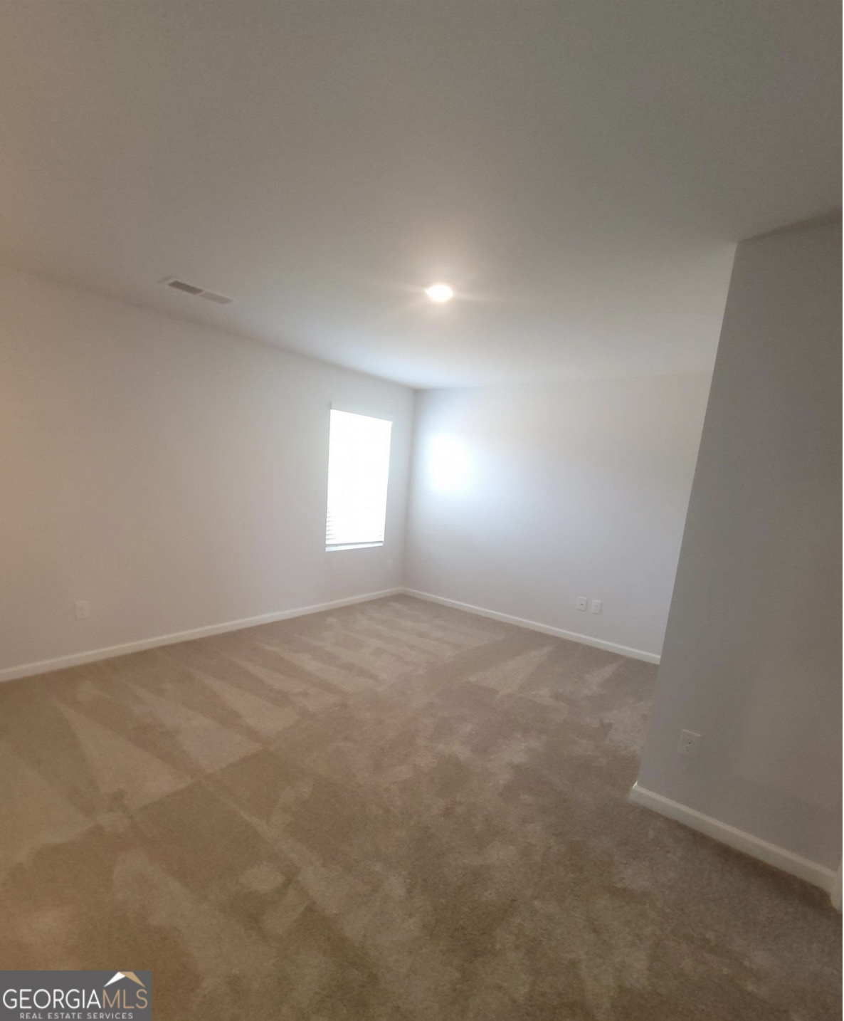 1100 Bluecoat Circle Hampton, GA 30228 - Photo 3 of 6