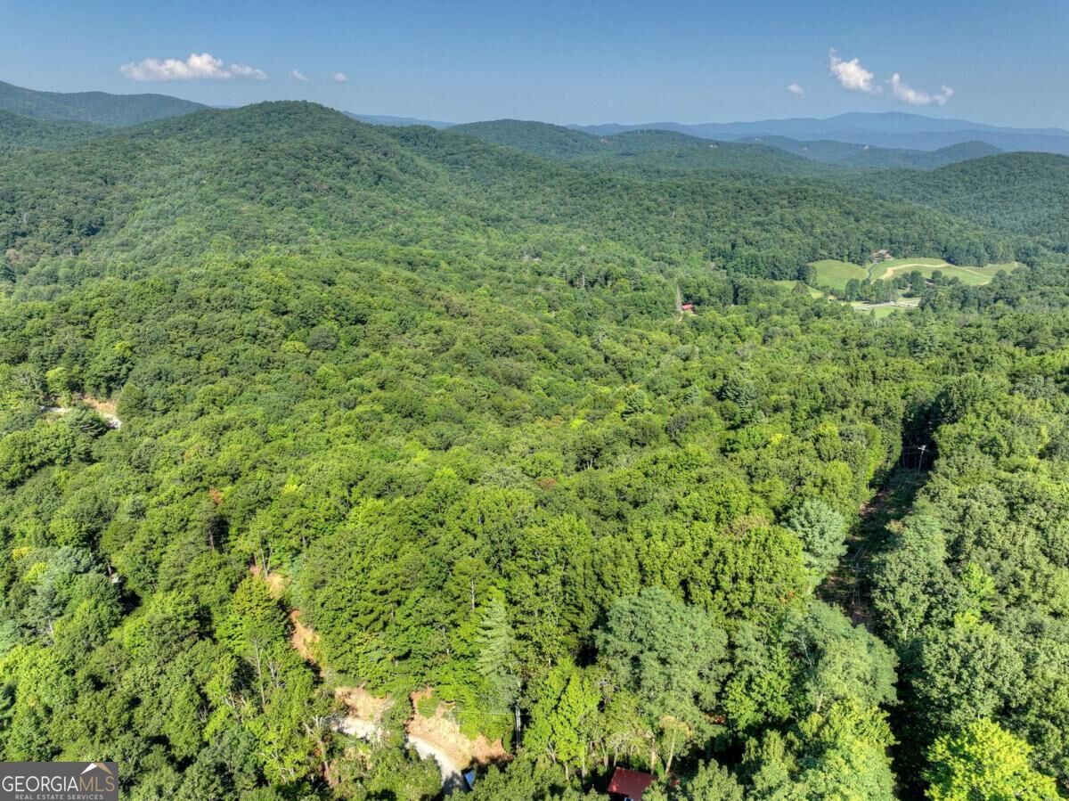 3.6-ac Prince Mountain Road Cherry Log, GA 30522 - Photo 11 of 22 Gallery Image 11