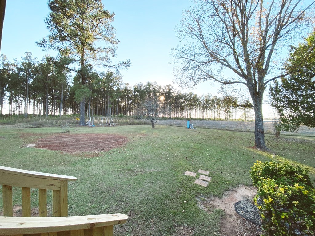 42 Mount Calvary Road Fort Gaines, GA 39851 - Photo 21 of 58