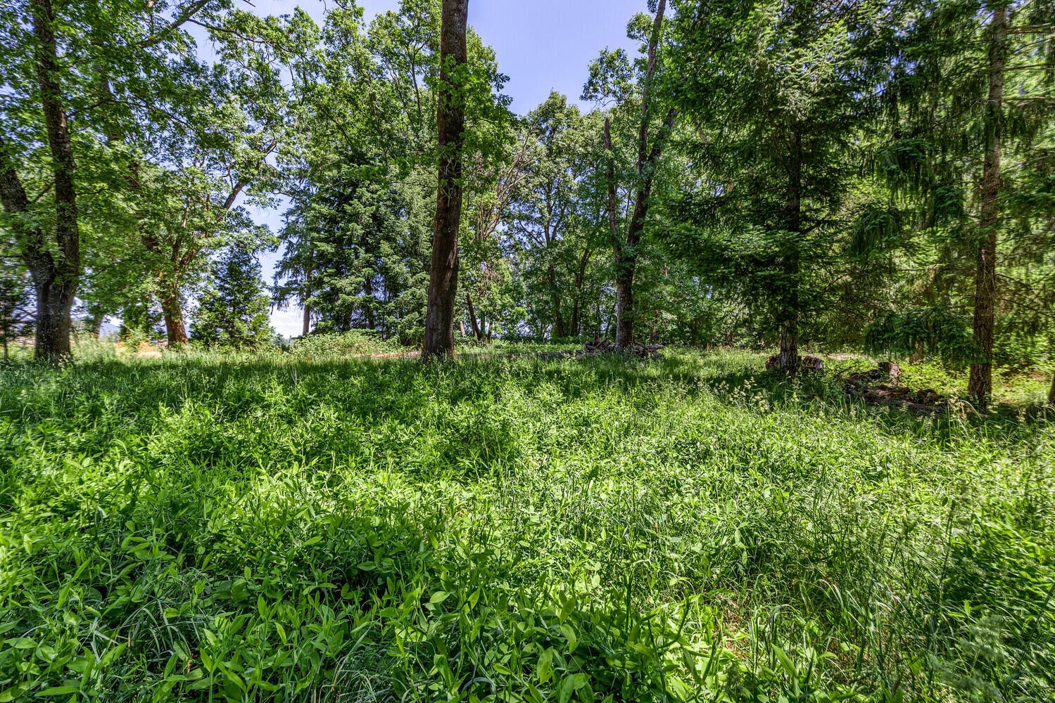 3145 Helms Road Grants Pass, OR 97527 - Photo 75 of 79 96_HR_96_mls