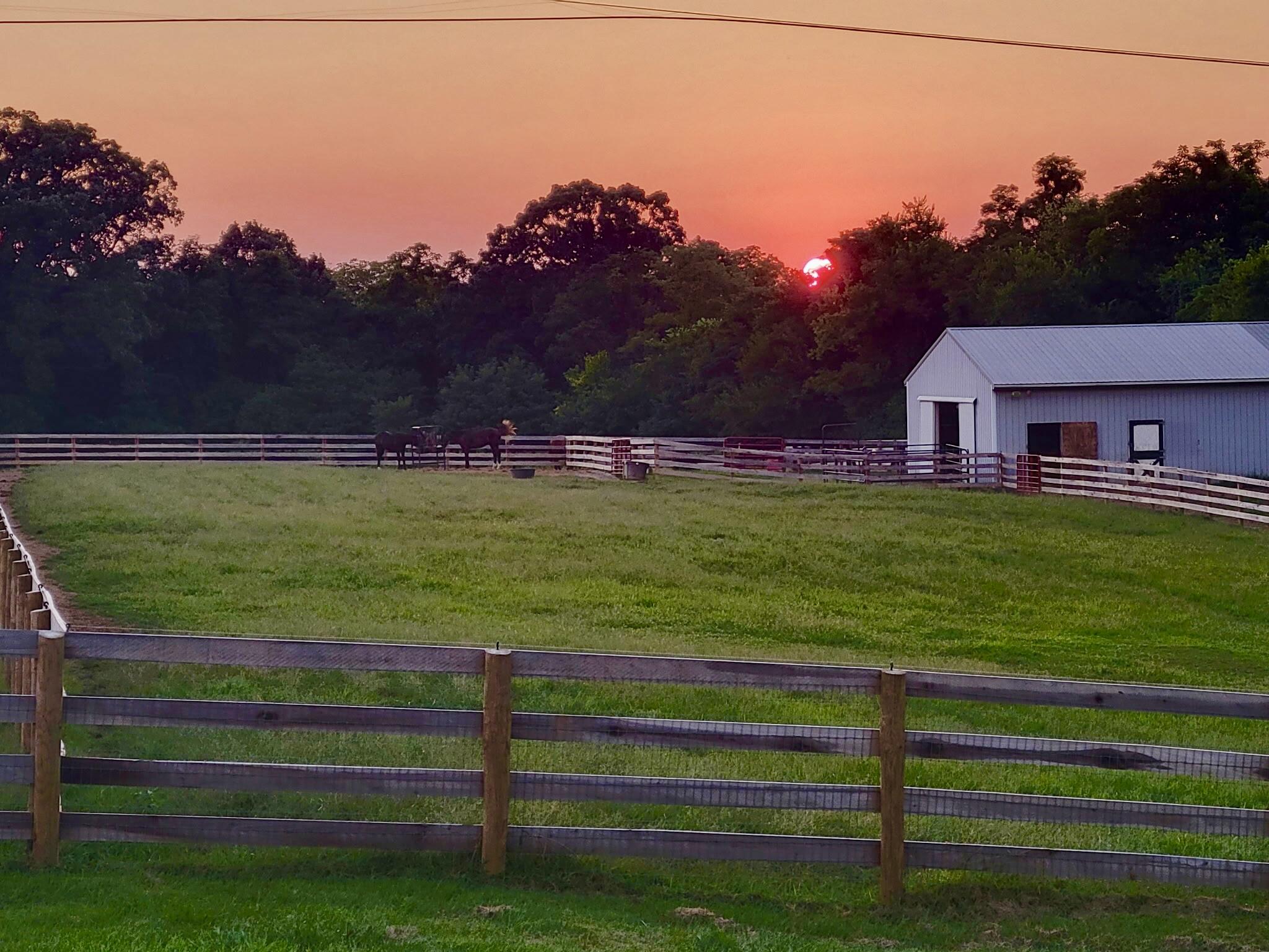 337 Collins Road Paris, KY 40361 - Photo 65 of 96 20250815_202225
