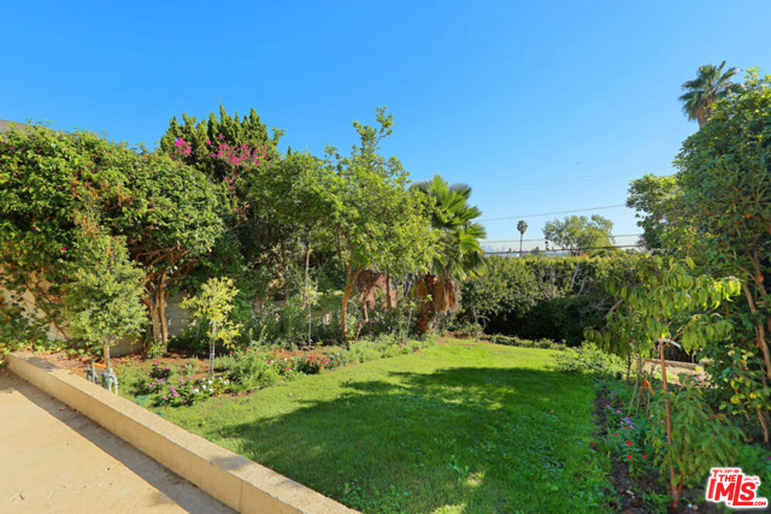 1904 Preuss Road Los Angeles, CA 90034 - Photo 30 of 32 a view of a garden with a tree