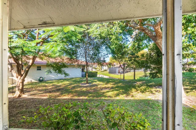 a view of a yard with a tree